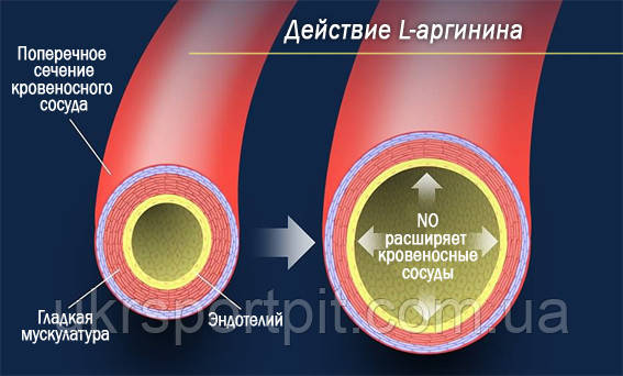 L-Аргинин (L-Arginine) в капсулах 100 капсул по 500 мг. - фото 3 - id-p1289195337