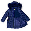 Пальто зимове для дівчаток Danpe 116 синій 6612, фото 2