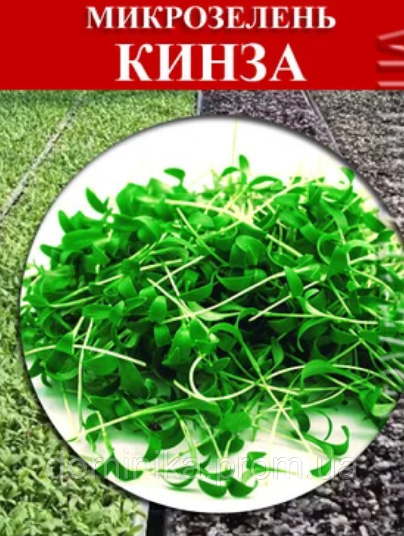 Насіння на мікрозеленень Кинза 100 г