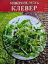 Насіння на мікрозелень Клевер 100 г, фото 4