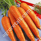 Морква Осіння королева 2 м Традиція, фото 2