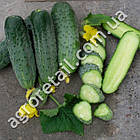 Огірок Аристократ F1 10 шт, фото 2