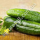 Огірок Гурман 1 г Gl Seeds, фото 2