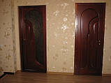 Двері міжкімнатні з вільхи, фото 2