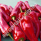 Перець Для грилю 0.25 г Gl Seeds, фото 2