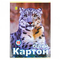 Картон для творчості білий "Коленкор" серії "Аляска" 10 листів, А4