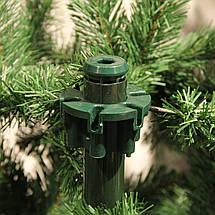 Ялина 185 см з інієм, Abies Nordmann, фото 3