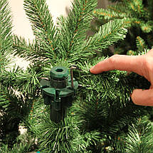 Ялина 185 см з інієм, Abies Nordmann, фото 4