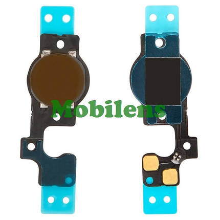 Apple iPhone 5C, A1456, A1507, A1529, A1532 Шлейф кнопки HOME, фото 1