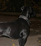 Шкіряний нашийник "Lockdog" зі стразами, фото 6