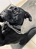 Шкіряний нашийник "Lockdog" зі стразами, фото 7