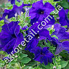 Петунія Містраль синя F1 10 гранул Gl Seeds, фото 3