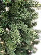 Сосна 185 см, Denberg УЦІНКА, фото 5