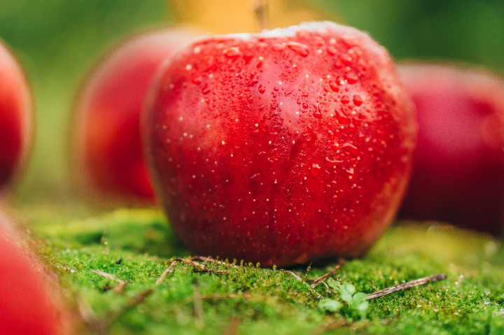 Саженец яблони сорта Розела на карликовом подвое М9 - фото 2 - id-p1289669230