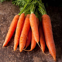 Насіння моркви Скарла, 10 гр., ТМ "ЛедаАгро"