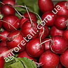 Редис Сакса-Нова 20 г Gl Seeds, фото 3