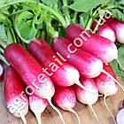 Редис Французький сніданок 3 г Gl Seeds, фото 3