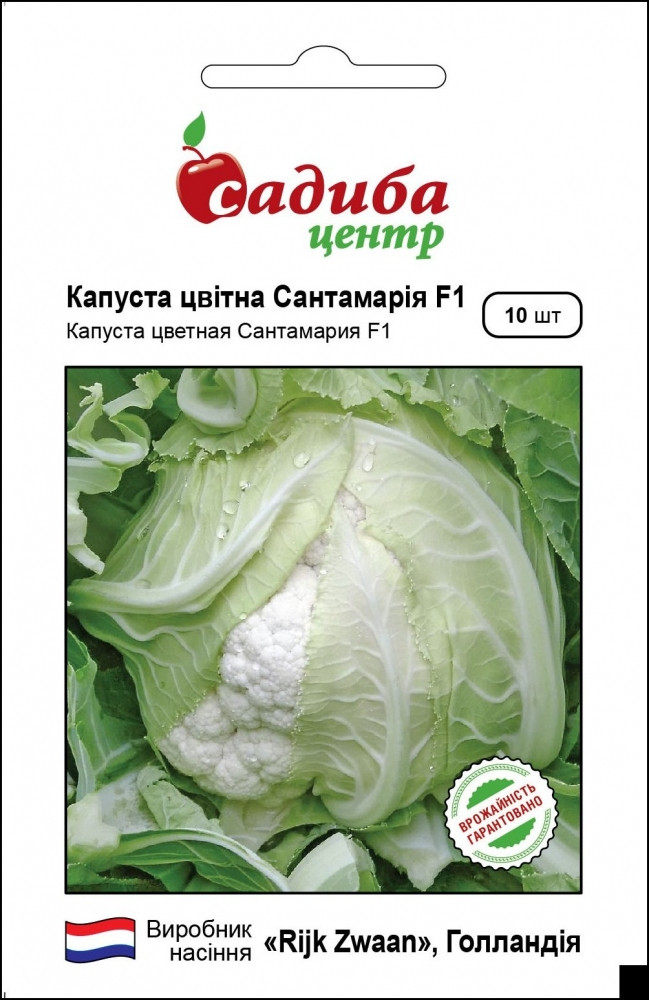 Капуста цвітна Сантамарія F1 10шт