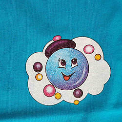 Фотопечать, принт, шелкография на футболках и шортах 14