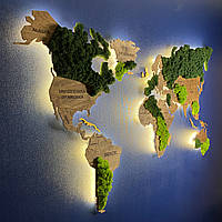 Карта Мира с подсветкой, гравировкой названий стран и границ, стабилизированный мох ХL-200x120 см