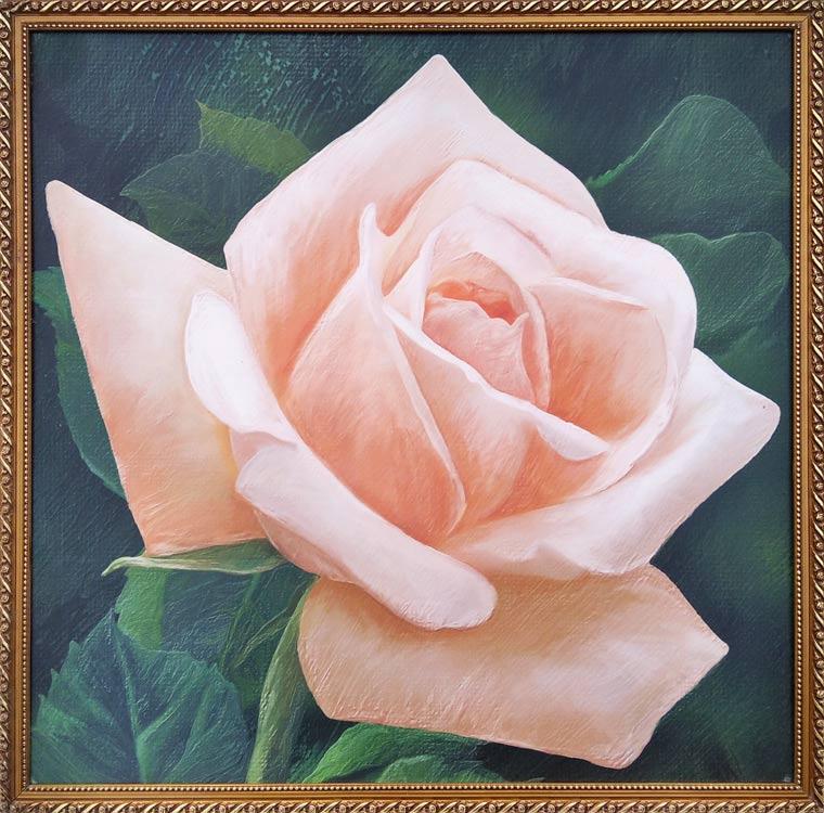 Картина в багетній рамі № 55 Рожева троянда З 66 (670х660)