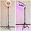 Студійна фотостійка STAND, Штатив для лампи та спалаху регульований 210 см, фото 8