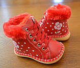 Зимові пінетки для дівчінки 13.5 см,13см,12.5 см,12см, фото 2