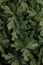 Ялина 215 см, Nottingham de Luxe, фото 3