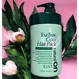 Освіжна маска для волосся Daeng Gi Meo Ri On Tea Tree Cool Hair Pack Mask, фото 3