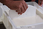 Лопатка для нарізування сирного згустку TAGLIACAGLIO (Італія), фото 2
