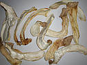 Сушені гриби Еринги (Pleurotus eryngii) 100г, фото 4