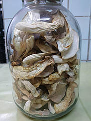 Сушені гриби Еринги (Pleurotus eryngii) 100г
