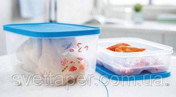 Набор Умный холодильник для мяса и рыбы (4.4л, 1.8л) Tupperware - фото 1 - id-p182275300