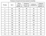 Сімейні вишиванки Зірки на натуральному домотканному полотні Familly look, фото 10