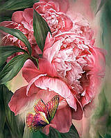 Алмазна вишивка DM-184 Метелик у піонах (Алмазная мозаика)