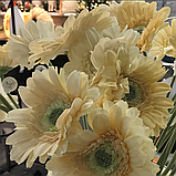 Квітка штучного гербера Jolipa (ціна за 1 штуку), фото 2