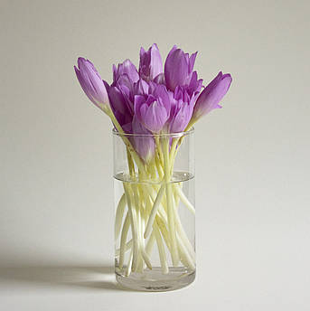 Ваза прозора "Циліндр" h 170 d 90 мм