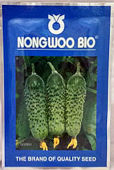 Авенсіс F1/Avensis F1 насіння огірка, 500 насіння — партенокарпічний, ранній (40 днів), NongWoo Bio
