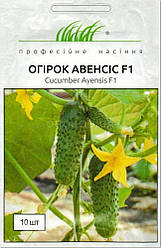 Авенсіс F1/Avensis F1 насіння огірка, 10 насіння — партенокарпічний, ранній (40 днів), NongWoo Bio