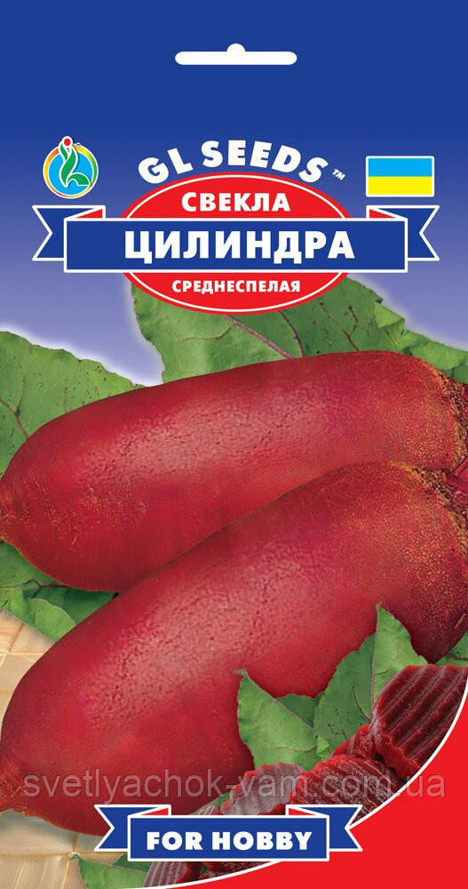 Бурякла столова Циліндра популярний середньостильний сорт ніжний стійкий, паковання 3 г