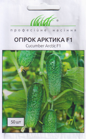 АРКТИКА F1 / АРЕНА F1 насіння огірка, 50 насіння — партенокарпічний, ранній (36-40 днів) NongWoo Bio