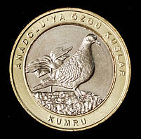 Монета Туреччини 1 куруш 2019 р. Птахи Анатолії. Горлица