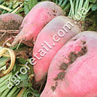 Буряк кормовий Київська рожева 20 г Gl Seeds, фото 3