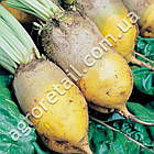 Буряк кормовий Эккендорфская жовта 20 г Gl Seeds, фото 2