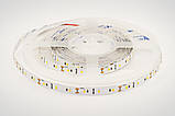 Світлодіодна стрічка ESTAR SMD 2835/60 (IP20) premium 12V тепло-біла (2700-2900К), фото 2