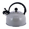 Чайник Kamille Сірий 2.5 л з нержавіючої сталі зі свистком KM-0679A, фото 3