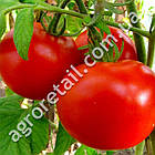 Томат Бушмен 0.1 г Gl Seeds, фото 2