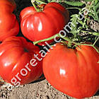 Томат Бичаче серце червоний 0.1 г Gl Seeds, фото 3