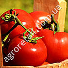 Томат Валютний 0.15 г Gl Seeds, фото 2