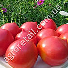 Томат Гібрид Тарасенко-2 рожевий 0.1 г Gl Seeds, фото 2